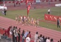 Brenda1500m