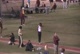 ASU Allison TJ4