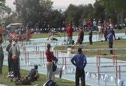 Pomona Toni 100H