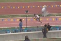 UCLA Lauren LJ5