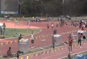 UCLA Molly 200
