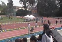 UCLA Terry LJ2