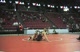 WIAA State Consolation rd 2 (part 2)