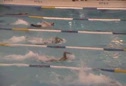 SwimMAC 800 Free Relay NAG Record