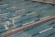 SwimMAC Women's 100 Back