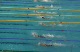 Heat 1- Debrecen European Champ 200 free