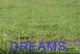 xc camp 2008