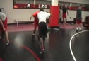 State Practice