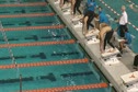 Big XII Championships 2008