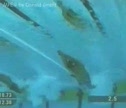 Blinkx Video  Michael Phelps Butterfly