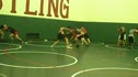 Live Wrestling