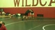 More Live Wrestling