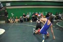 MOV201