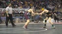 103lbs josh johnson forest grove-or vs. ryan haney redmond-or