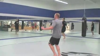 LionHeart conditioning