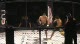 Alex Caceres vs. Tulio Quintanilla