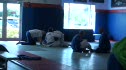 A look around the gym