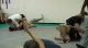 Another look around the gym