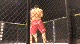 Brendan Seguin vs Jake Ellenberger
