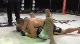 Bryce Teager vs Jimmy Seipel