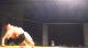 Chris Green vs John Leal