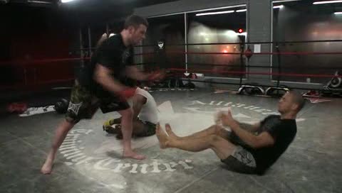 Cub Swanson abs