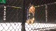 Dakota Cochrane vs James Harrington