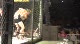 Danny Black vs Matt Williams