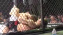 Drew Dober vs Brandon Girtz