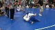 Emily Newhouse v Greer