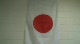 Flags in the gym