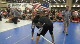 Francis May vs Rance Muller