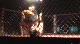 Justin Hughes vs Shane O'fallon