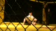 Jacob Brownfield vs Travis Moore