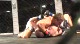 Jeff Piercy vs Jon Cornett