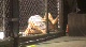 Jeremy Wise Vs Brandon Pfannenstiel… Jeremy Wise vs Brandon Pfannenstiel