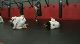 Jiu Jitsu class