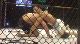 Joe Ellenberger vs Joe Wilk