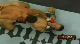 Joe Riggs vs Phil Baroni