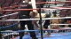 Jon Gorton vs