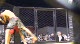 Josh Hunter vs Matt Morris 145