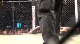 Josh Thorpe vs JC Pennington