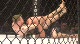 Josh Wright Vs Matt Bentley Josh Wright vs Matt Bentley