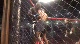 Lee King vs Edwynn Jones