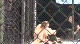 Matt Ricehouse vs Justin Seffron