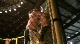 Mike Madrill vs Scott Tillson