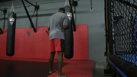 Phil Davis punching bag