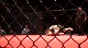Stephan Castro vs Matt Diagle