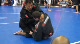 Thomas Pless v Ricardo Soto