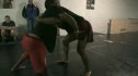 Wood sweep